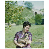 1962-05b.jpg