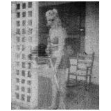 24-Dottie.jpg